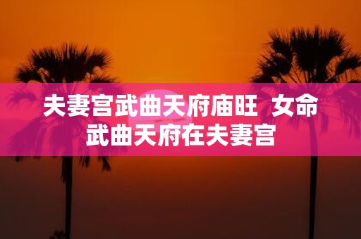 夫妻宫武曲天府庙旺 女命武曲天府在夫妻宫
