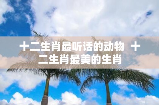 十二生肖最听话的动物 十二生肖最美的生肖