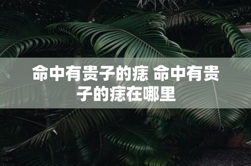 命中有贵子的痣 命中有贵子的痣在哪里