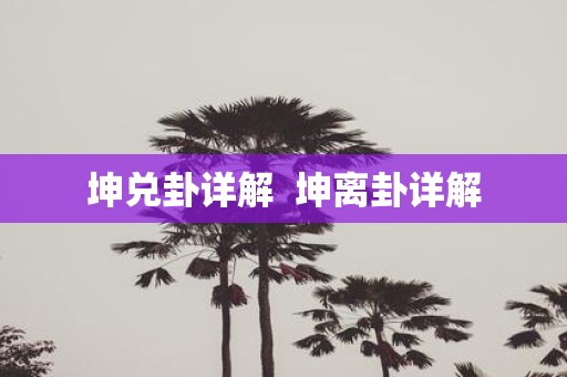 坤兑卦详解 坤离卦详解