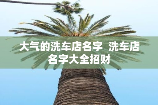 大气的洗车店名字 洗车店名字大全招财