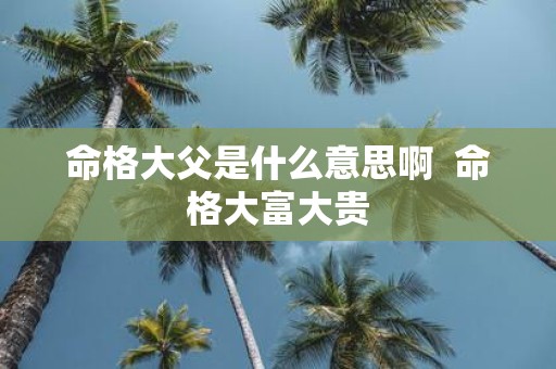 命格大父是什么意思啊 命格大富大贵