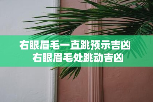 右眼眉毛一直跳预示吉凶 右眼眉毛处跳动吉凶