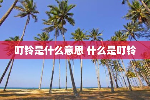 叮铃是什么意思 什么是叮铃