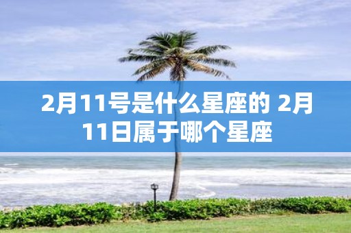 2月11号是什么星座的 2月11日属于哪个星座