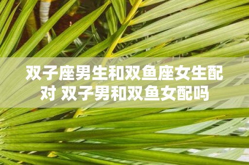 双子座男生和双鱼座女生配对 双子男和双鱼女配吗