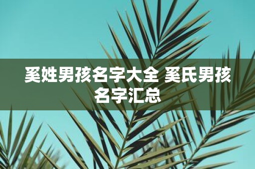 奚姓男孩名字大全 奚氏男孩名字汇总