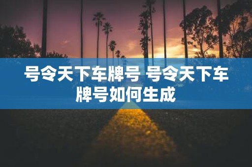 号令天下车牌号 号令天下车牌号如何生成