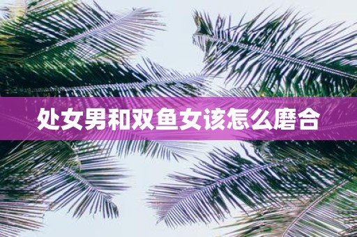 处女男和双鱼女该怎么磨合