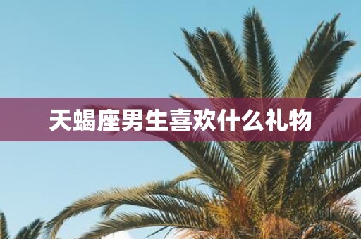 天蝎座男生喜欢什么礼物