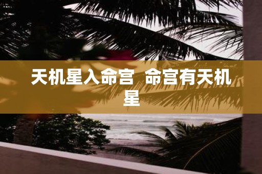 天机星入命宫 命宫有天机星