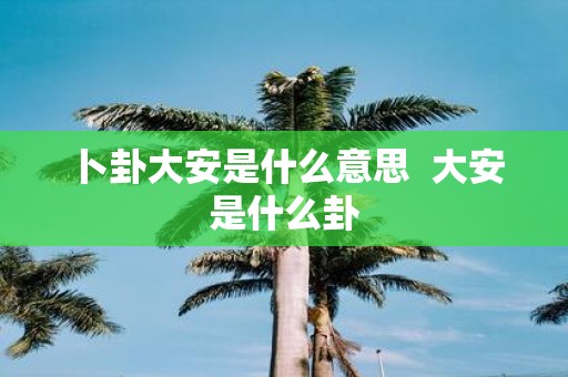 卜卦大安是什么意思 大安是什么卦