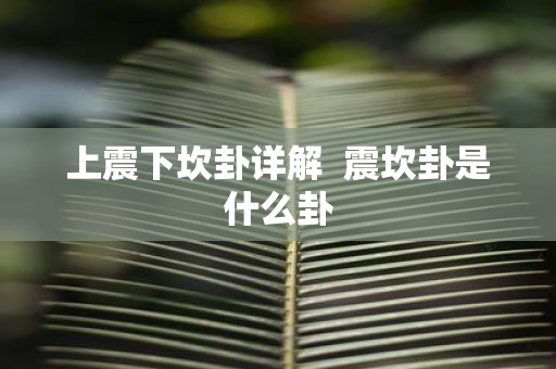 上震下坎卦详解 震坎卦是什么卦