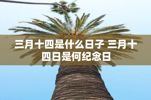 三月十四是什么日子 三月十四日是何纪念日