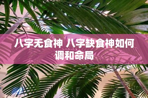 八字无食神 八字缺食神如何调和命局