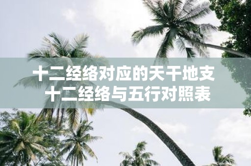 十二经络对应的天干地支 十二经络与五行对照表
