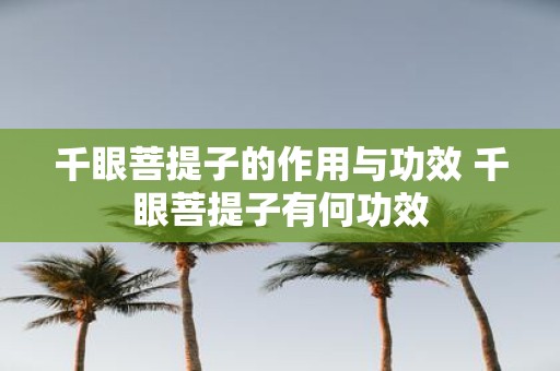 千眼菩提子的作用与功效 千眼菩提子有何功效