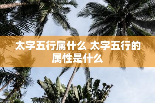 太字五行属什么 太字五行的属性是什么