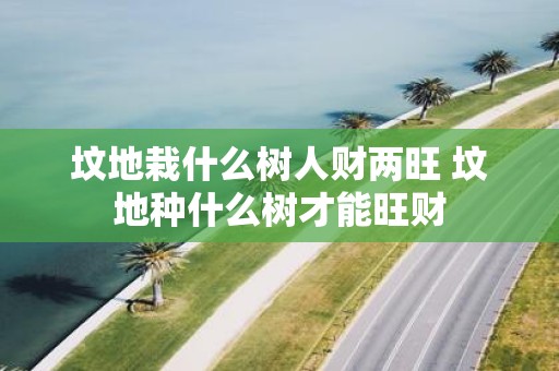坟地栽什么树人财两旺 坟地种什么树才能旺财