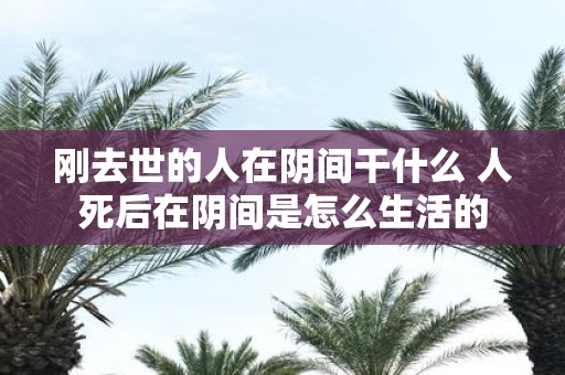刚去世的人在阴间干什么 人死后在阴间是怎么生活的