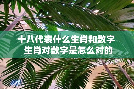 十八代表什么生肖和数字 生肖对数字是怎么对的