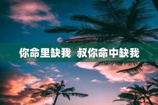 你命里缺我 叔你命中缺我