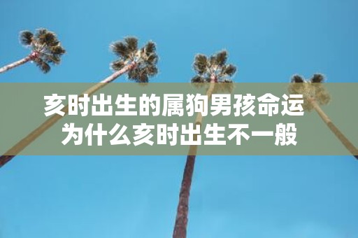 亥时出生的属狗男孩命运 为什么亥时出生不一般