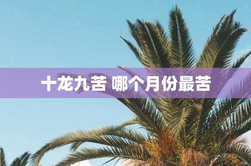 十龙九苦 哪个月份最苦