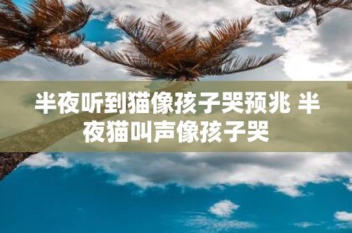 半夜听到猫像孩子哭预兆 半夜猫叫声像孩子哭