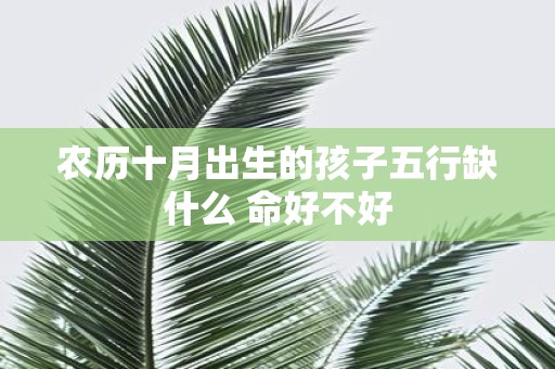 农历十月出生的孩子五行缺什么 命好不好
