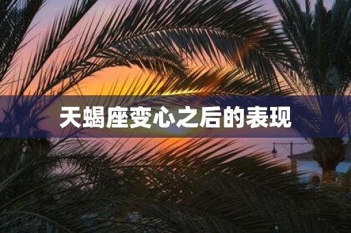 天蝎座变心之后的表现