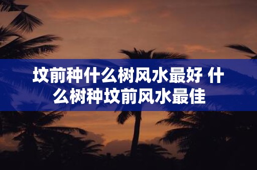 坟前种什么树风水最好 什么树种坟前风水最佳