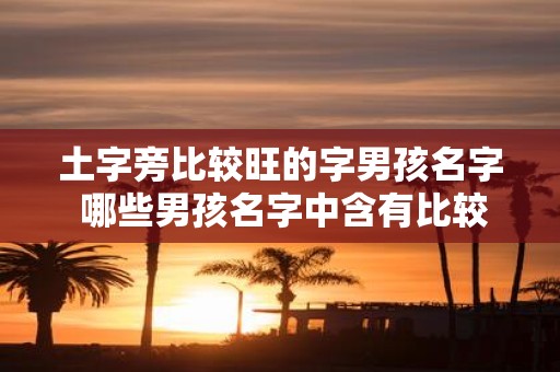 土字旁比较旺的字男孩名字 哪些男孩名字中含有比较旺的土字旁