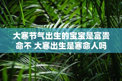 大寒节气出生的宝宝是富贵命不 大寒出生是寒命人吗