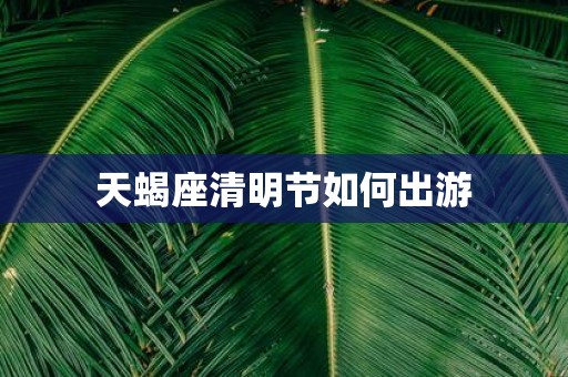 天蝎座清明节如何出游