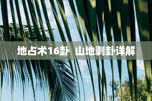 地占术16卦 山地剥卦详解