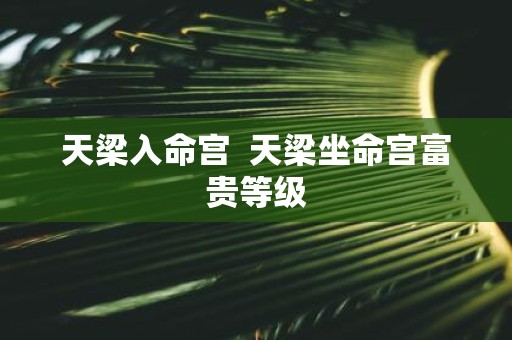 天梁入命宫 天梁坐命宫富贵等级