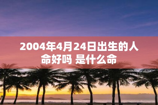 2004年4月24日出生的人命好吗 是什么命