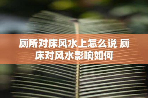 厕所对床风水上怎么说 厕床对风水影响如何