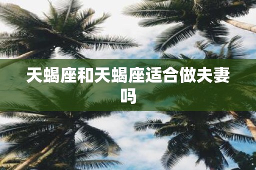 天蝎座和天蝎座适合做夫妻吗