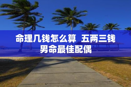 命理几钱怎么算 五两三钱男命最佳配偶