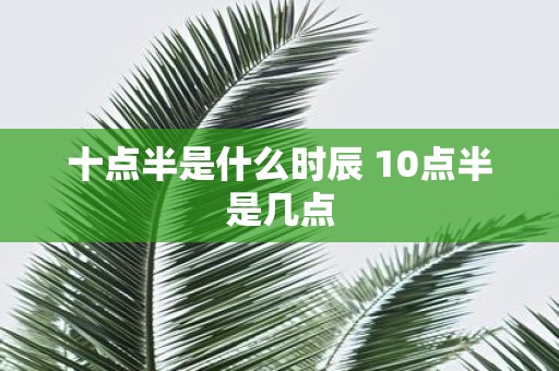 十点半是什么时辰 10点半是几点