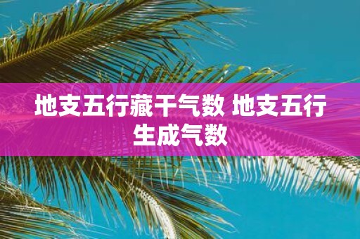 地支五行藏干气数 地支五行生成气数