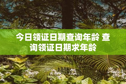 今日领证日期查询年龄 查询领证日期求年龄