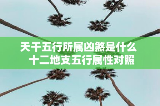 天干五行所属凶煞是什么 十二地支五行属性对照