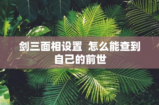 剑三面相设置 怎么能查到自己的前世