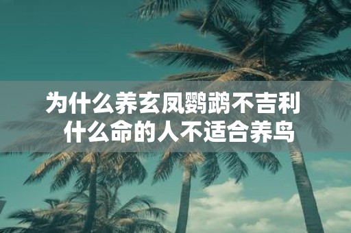 为什么养玄凤鹦鹉不吉利 什么命的人不适合养鸟