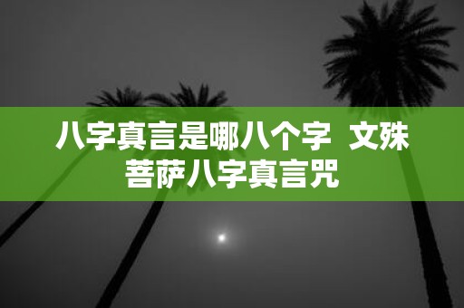 八字真言是哪八个字 文殊菩萨八字真言咒 八字真言是哪八个字 文殊菩萨八字真言咒