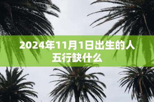 2025年11月1日出生的人五行缺什么