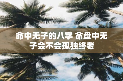 命中无子的八字 命盘中无子会不会孤独终老